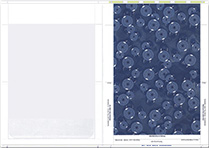 Peel and Seal Payslips